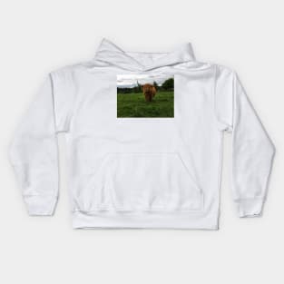 Scottish Highland Cattle Cow 2406 Kids Hoodie